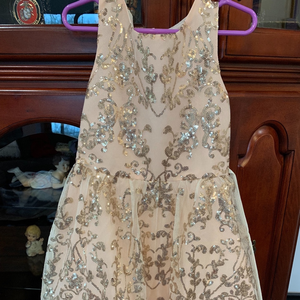 ROSE GOLD DRESS